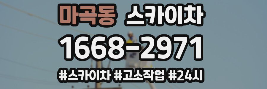 마곡동 스카이차