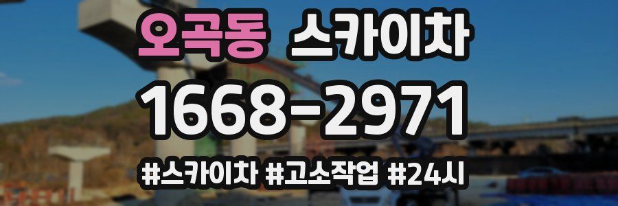 오곡동 스카이차