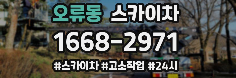 오류동 스카이차