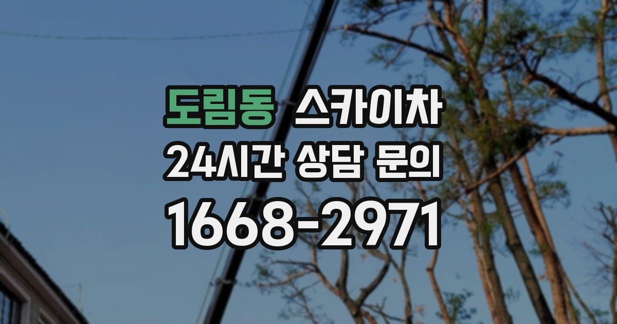 도림동 스카이차