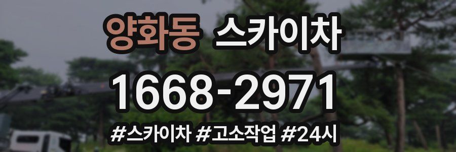 양화동 스카이차