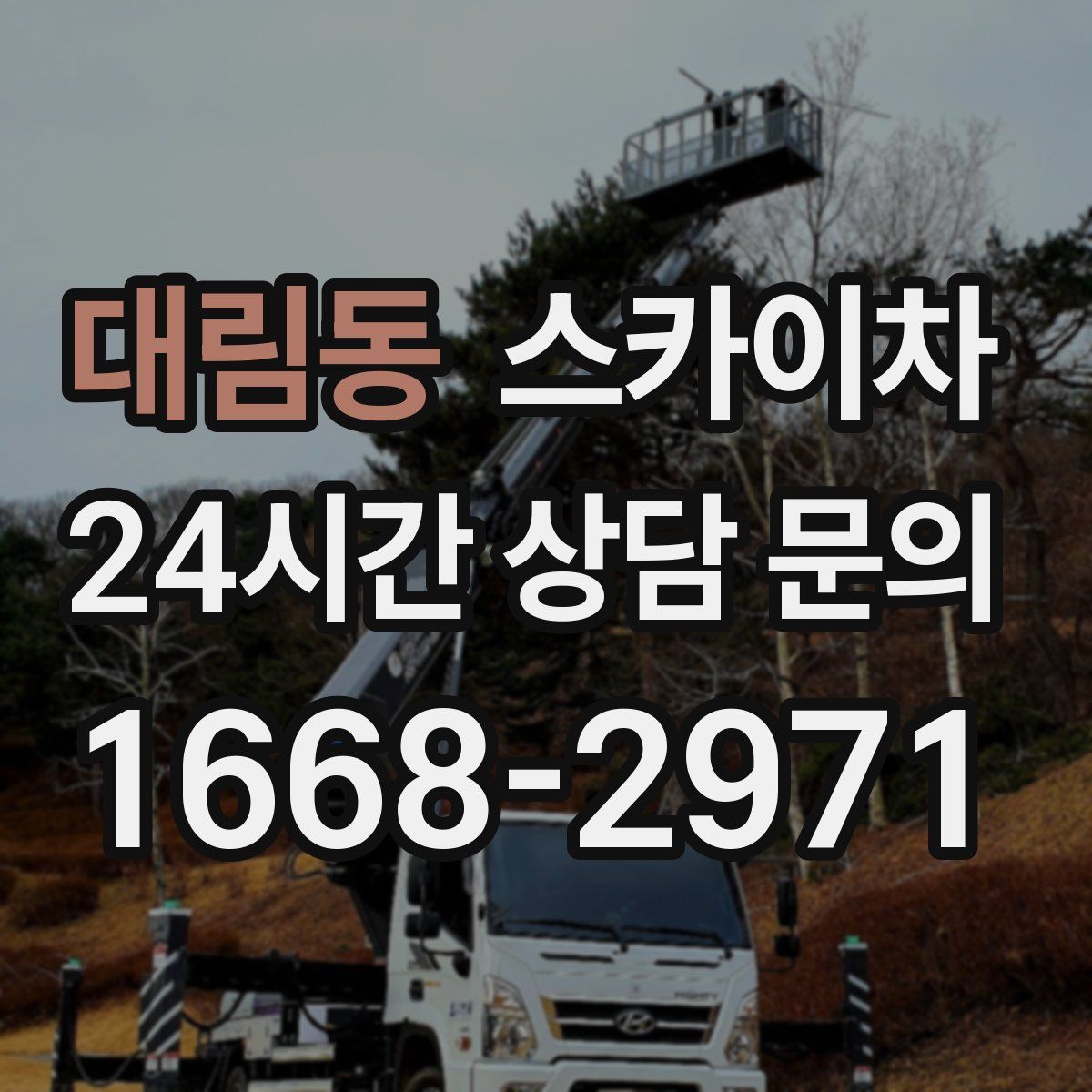 대림동 스카이차