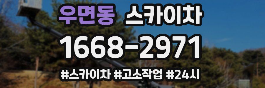 우면동 스카이차