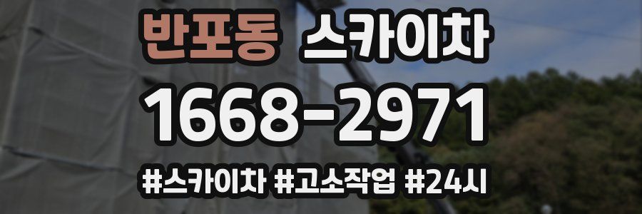 반포동 스카이차