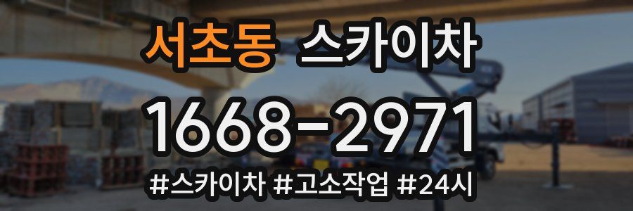 서초동 스카이차