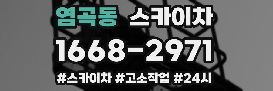 염곡동 스카이차