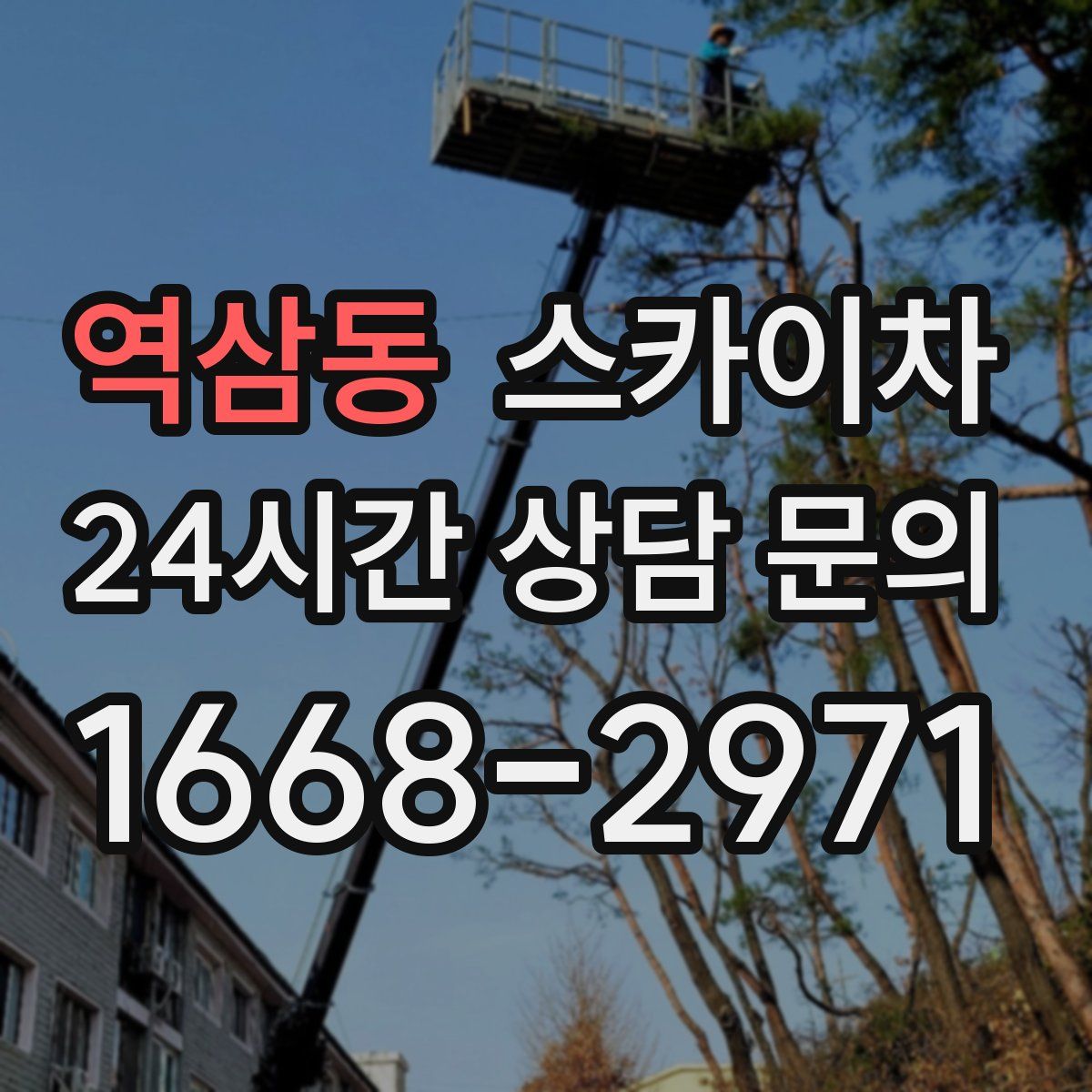 역삼동 스카이차