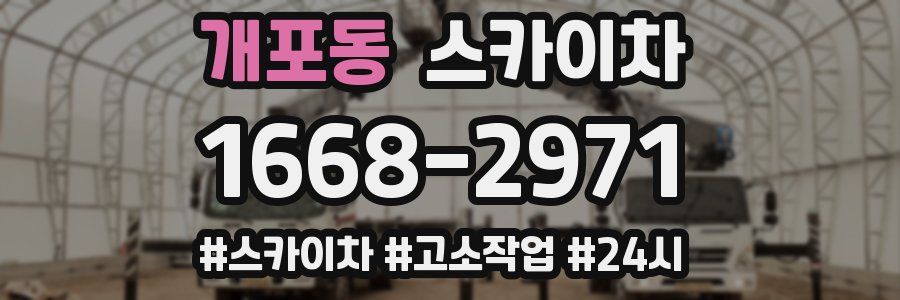 개포동 스카이차