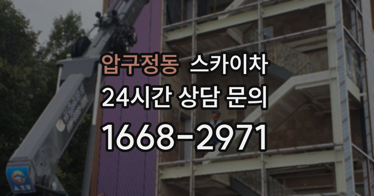 압구정동 스카이차