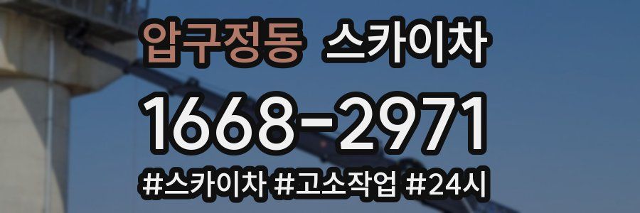 압구정동 스카이차