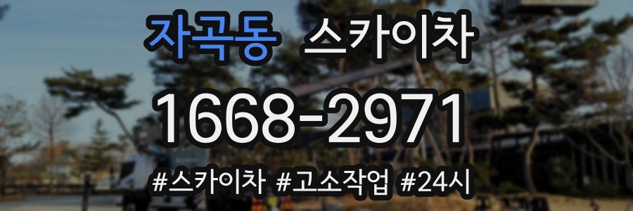 자곡동 스카이차