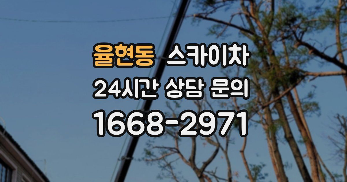 율현동 스카이차