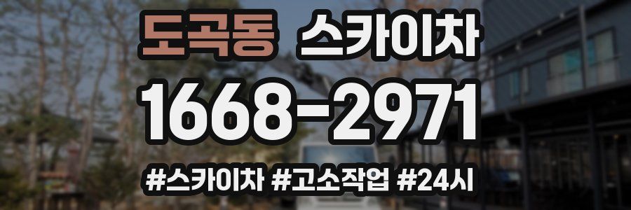 도곡동 스카이차