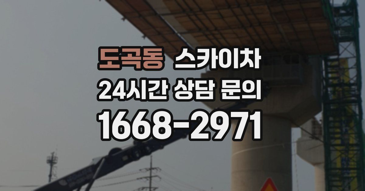 도곡동 스카이차