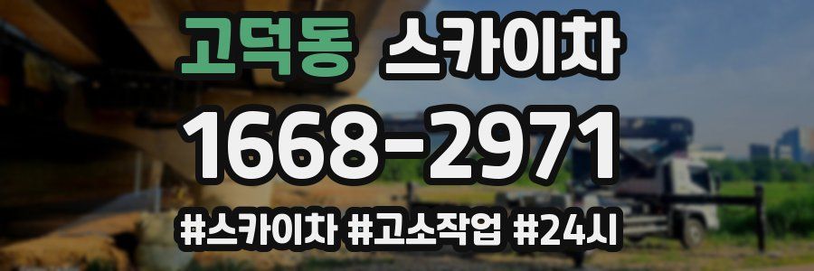 고덕동 스카이차