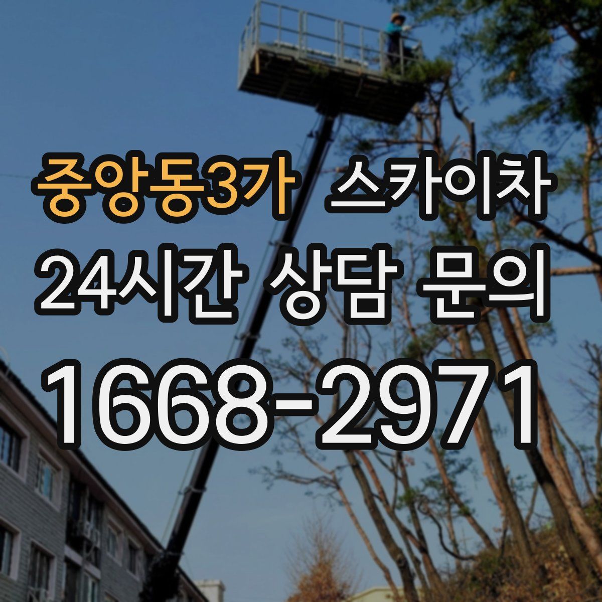 중앙동3가 스카이차