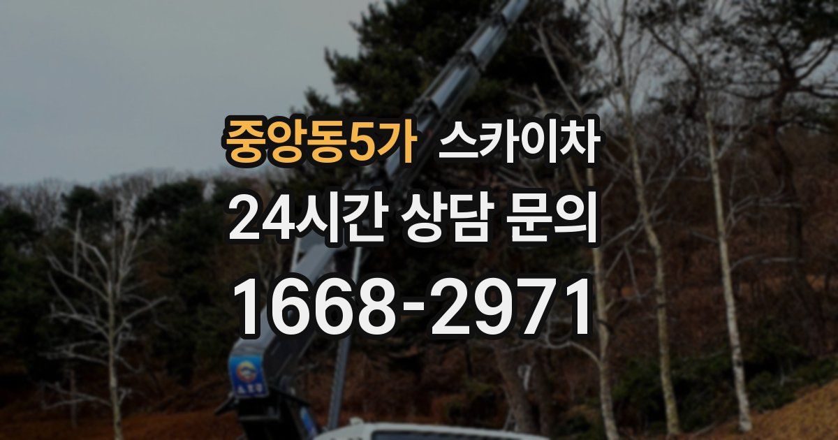 중앙동5가 스카이차