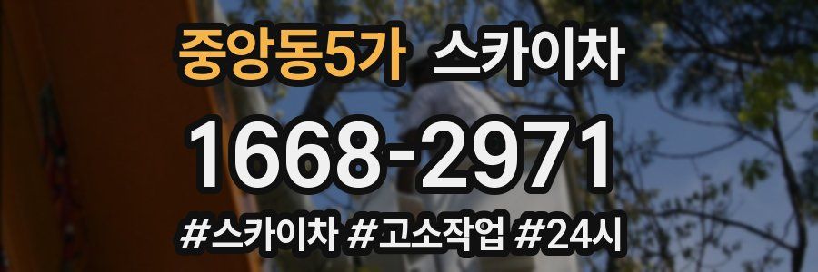 중앙동5가 스카이차