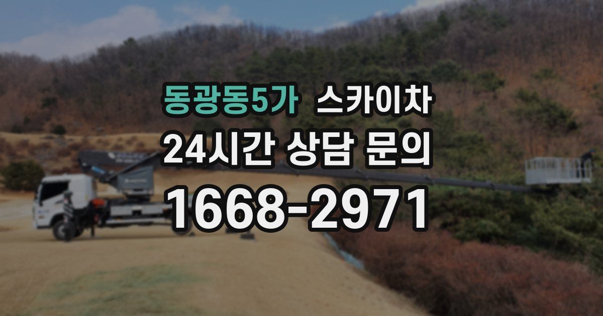 동광동5가 스카이차