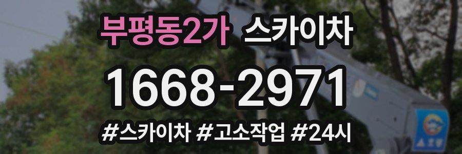 부평동2가 스카이차