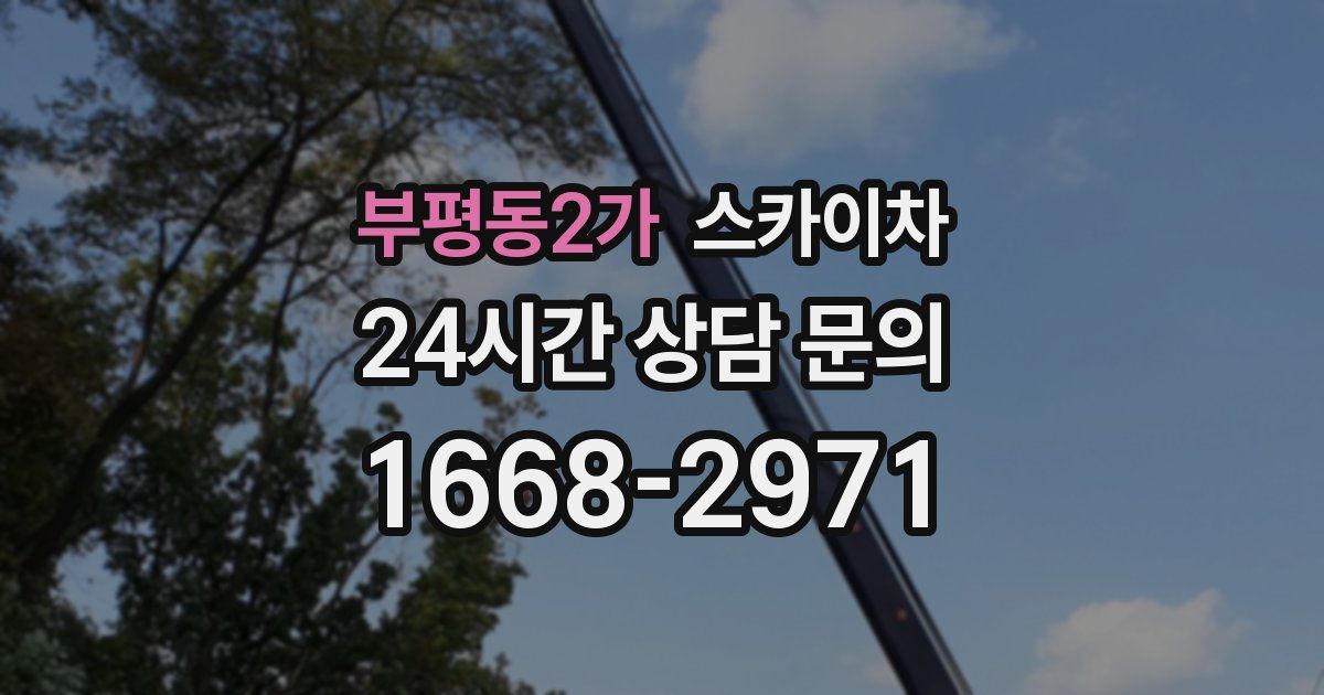 부평동2가 스카이차