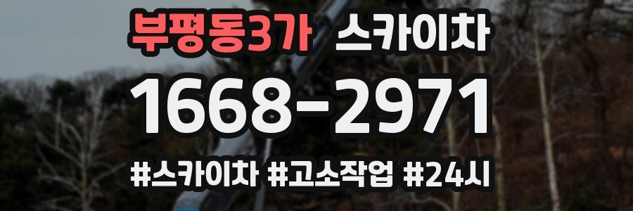 부평동3가 스카이차