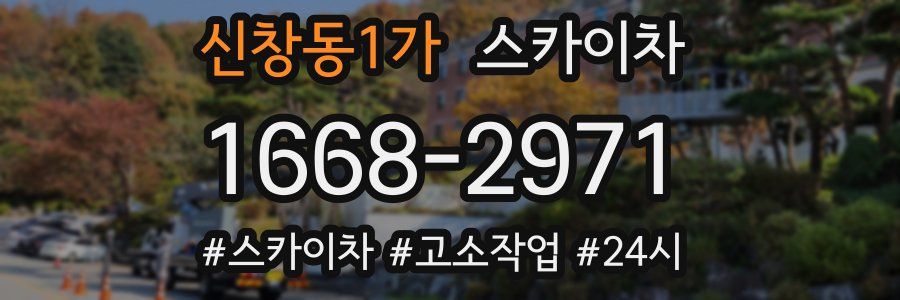 신창동1가 스카이차