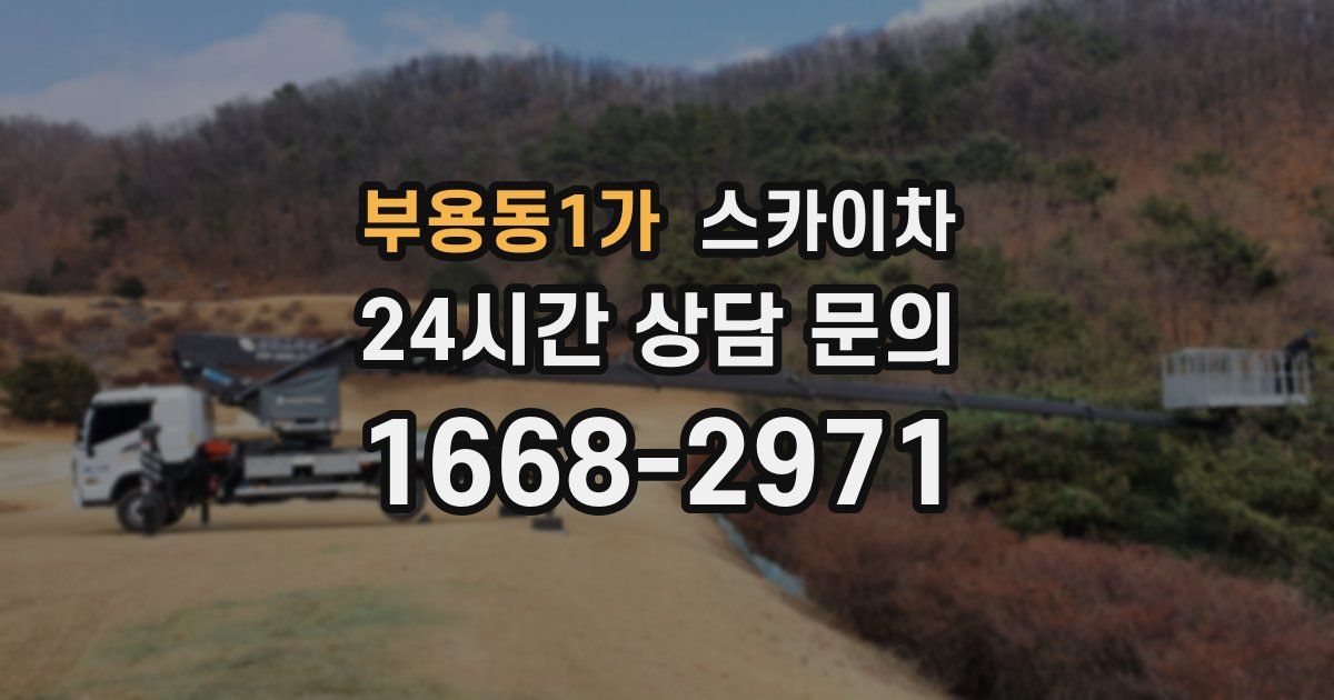 부용동1가 스카이차