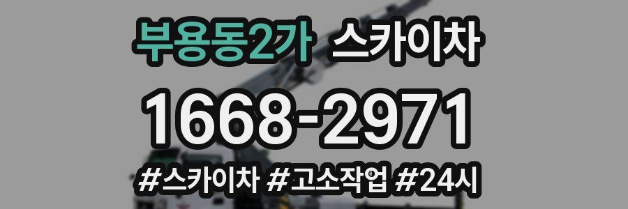 부용동2가 스카이차