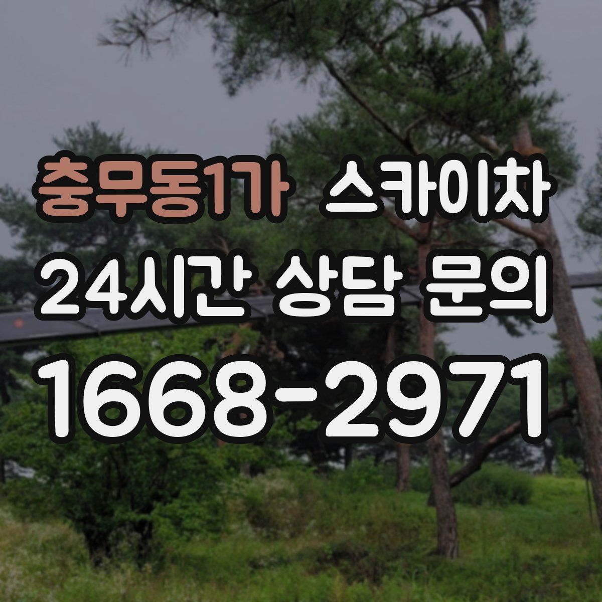 충무동1가 스카이차