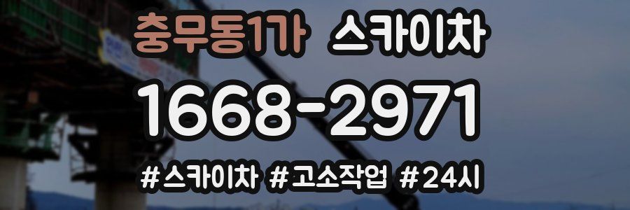 충무동1가 스카이차