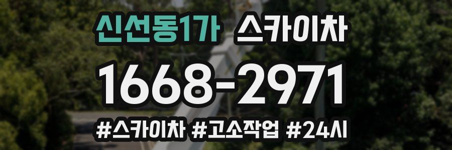 신선동1가 스카이차