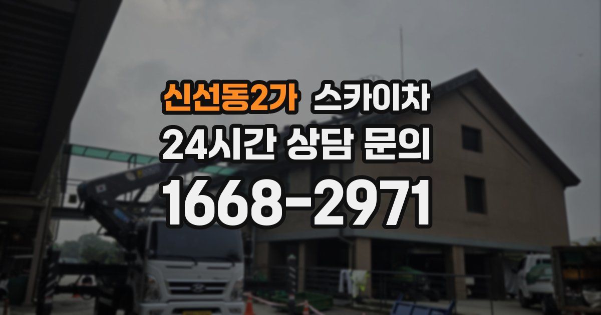신선동2가 스카이차