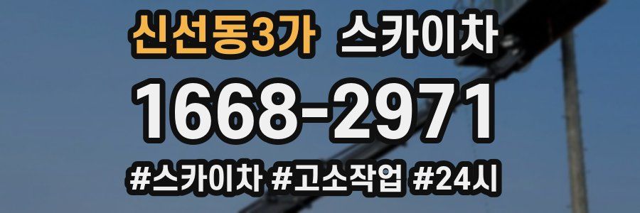 신선동3가 스카이차