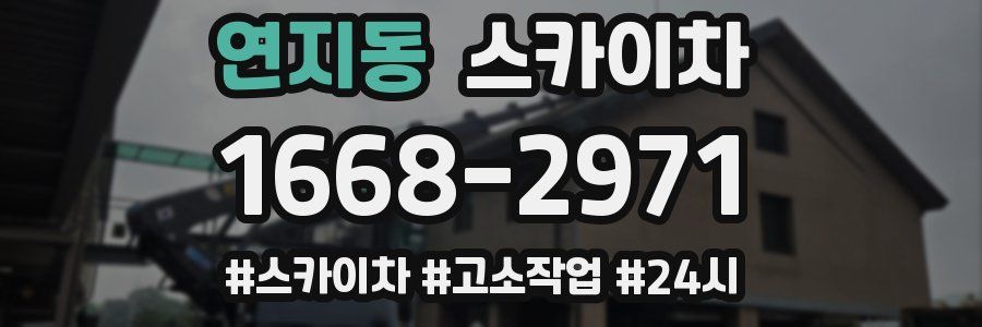 연지동 스카이차