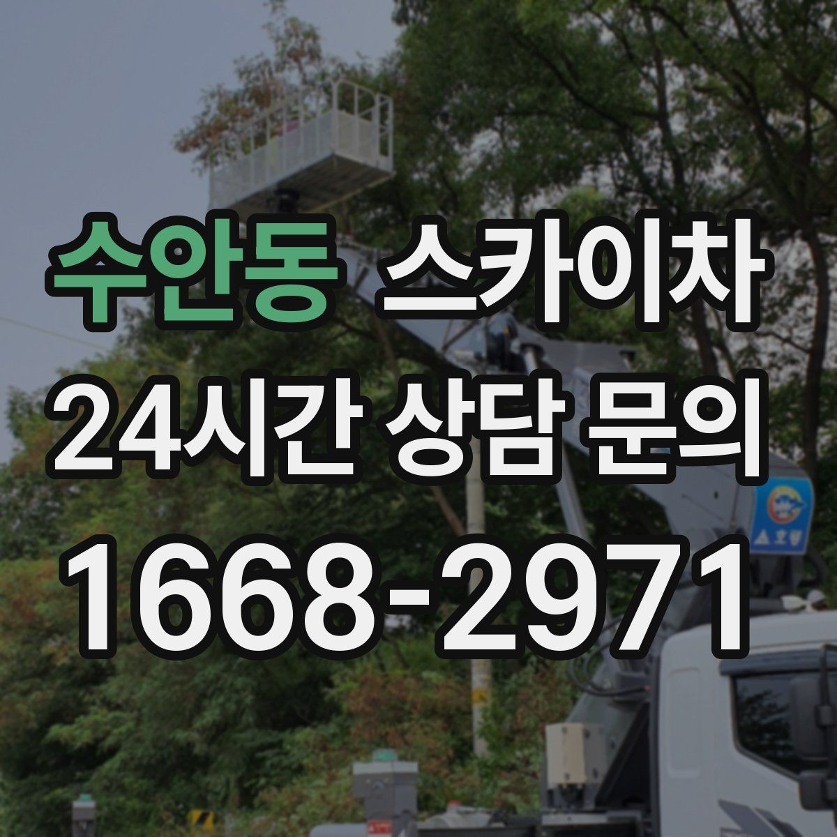 수안동 스카이차 가로수 가지치기 작업 안전하게