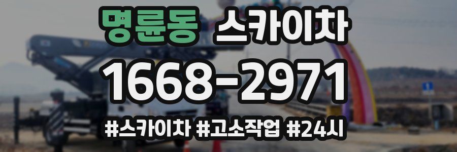 명륜동 스카이차