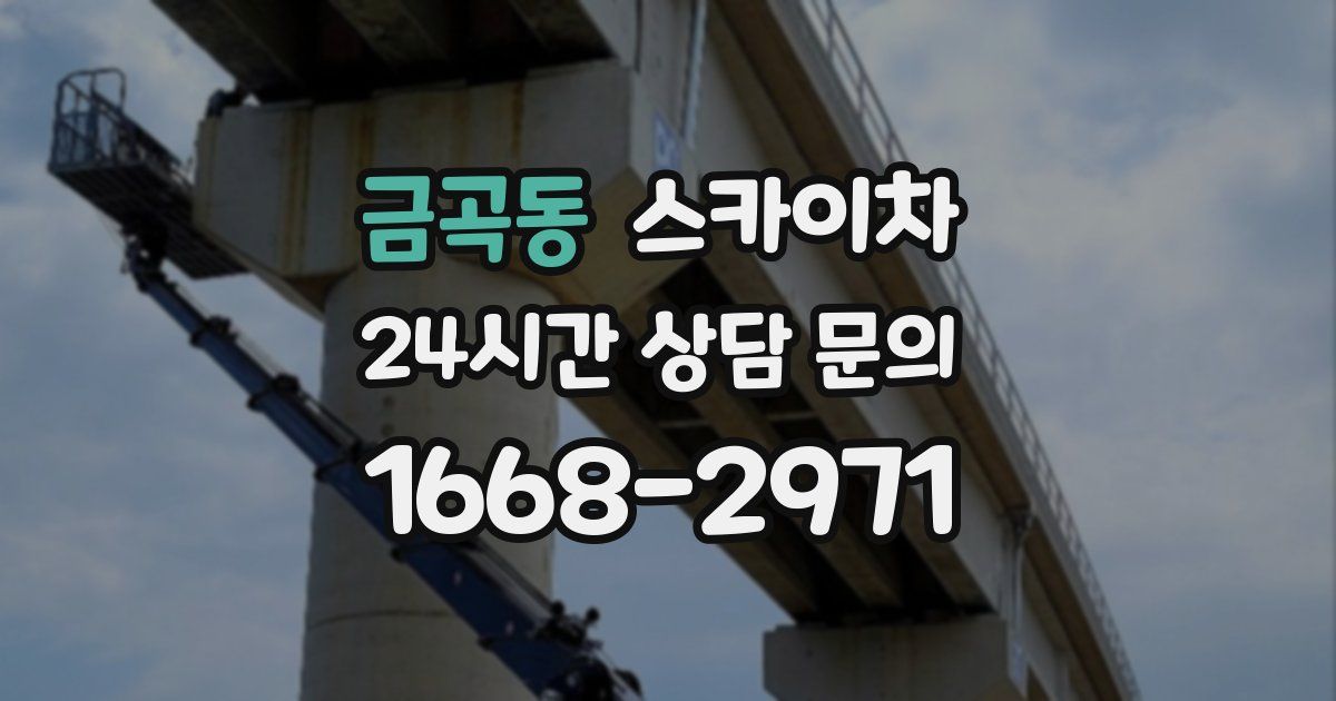 금곡동 스카이차