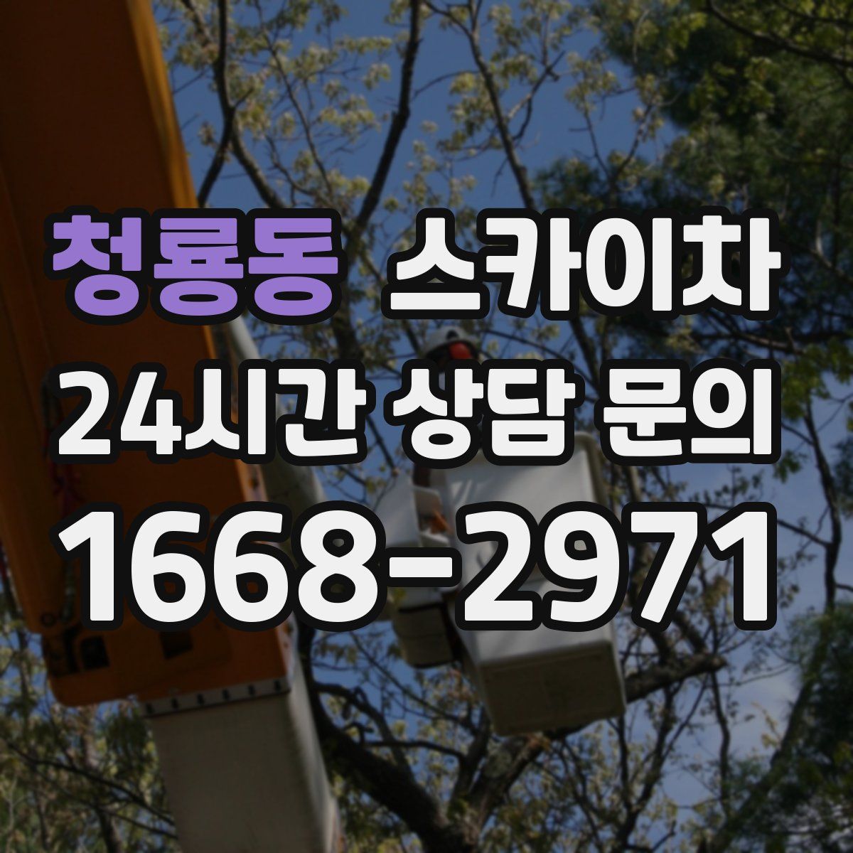 청룡동 스카이차