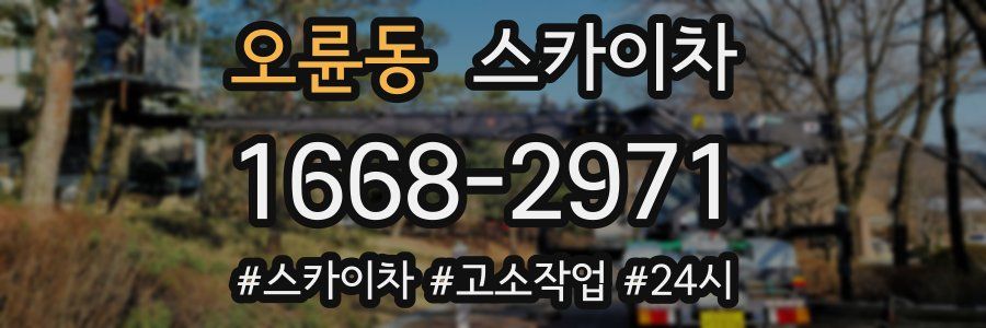 오륜동 스카이차