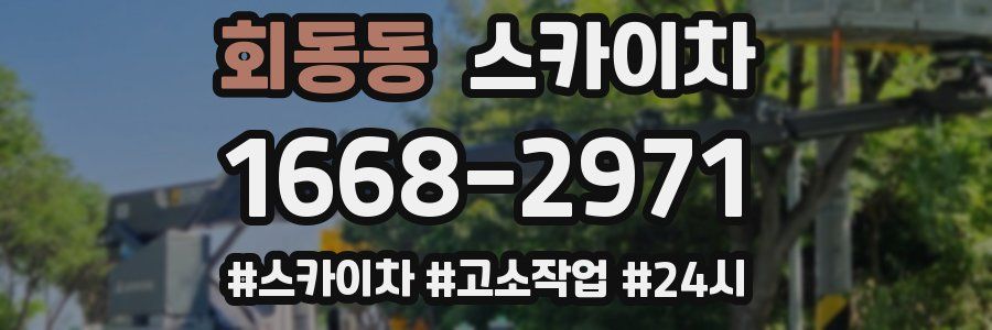 회동동 스카이차