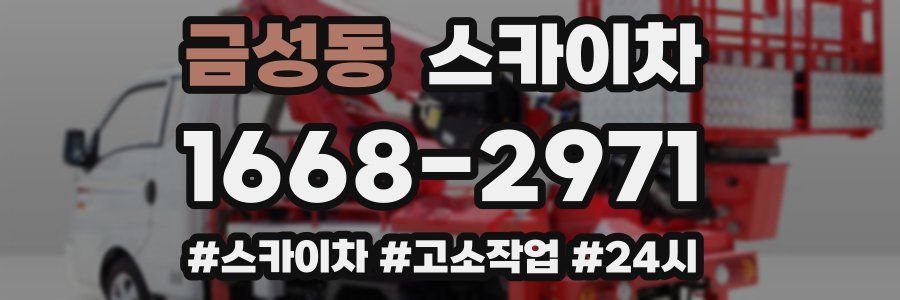 금성동 스카이차