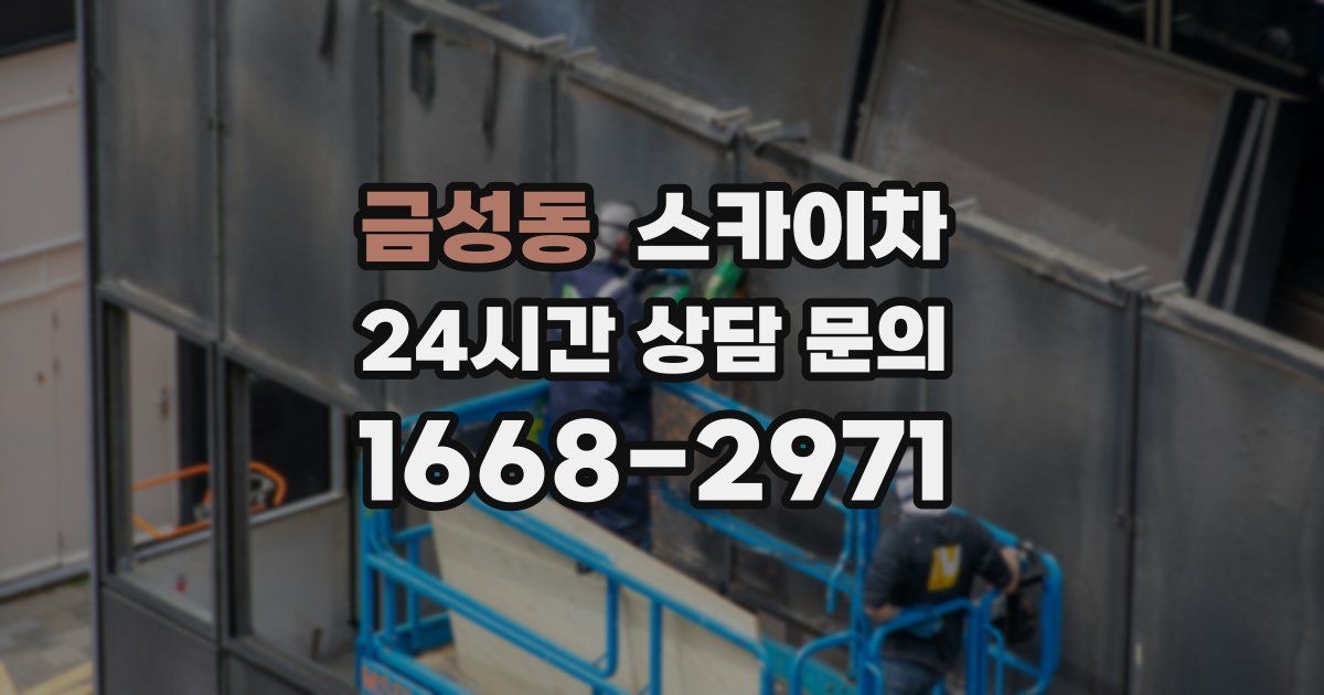 금성동 스카이차