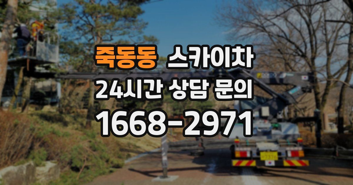 죽동동 스카이차