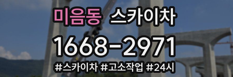 미음동 스카이차