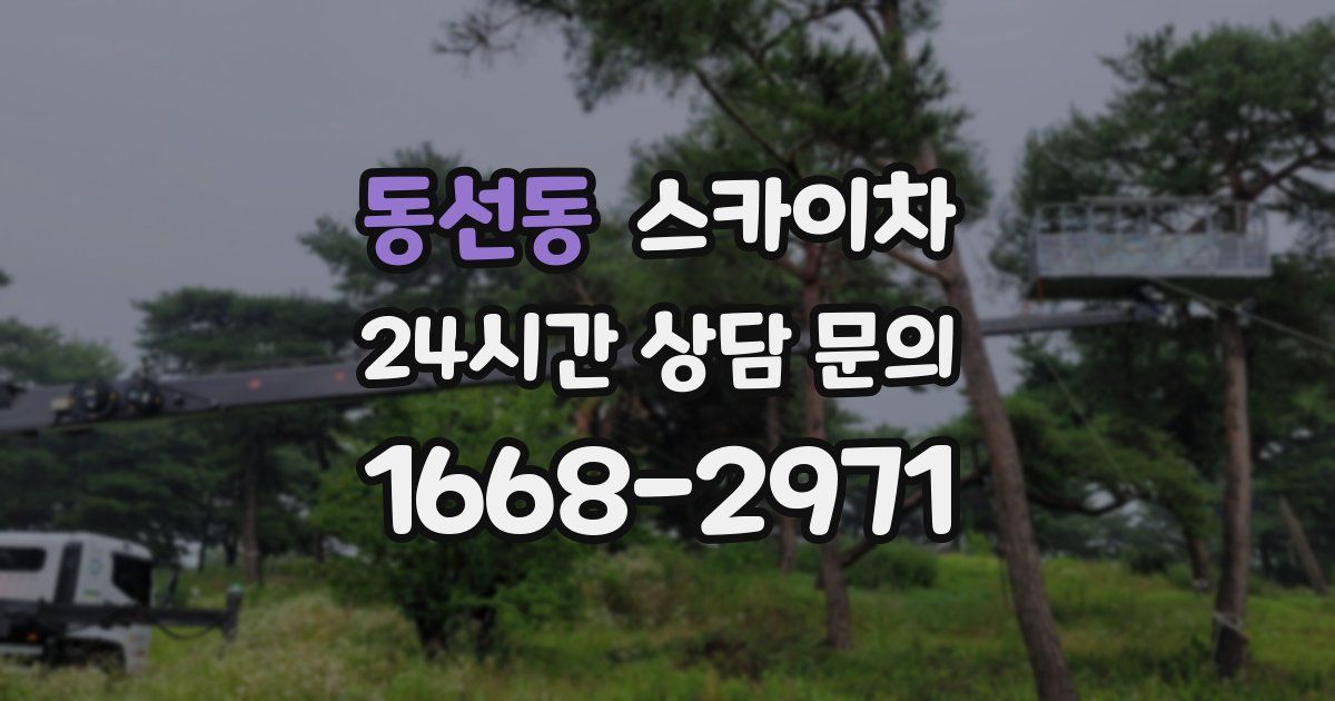 동선동 스카이차