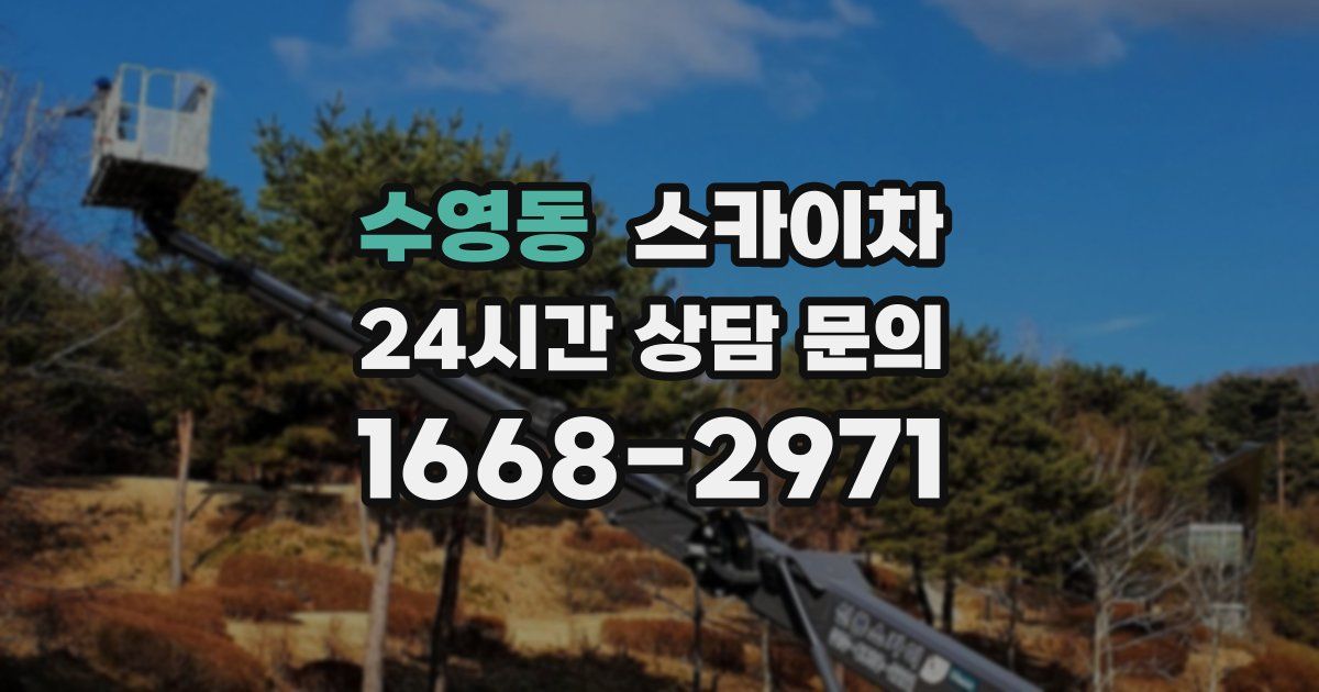 수영동 스카이차