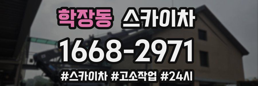 학장동 스카이차