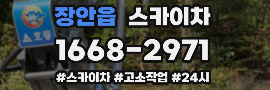 장안읍 스카이차