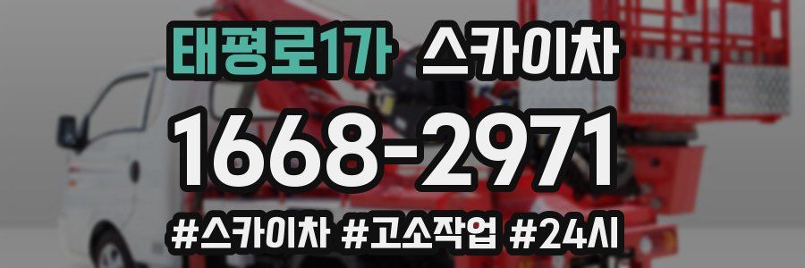 태평로1가 스카이차